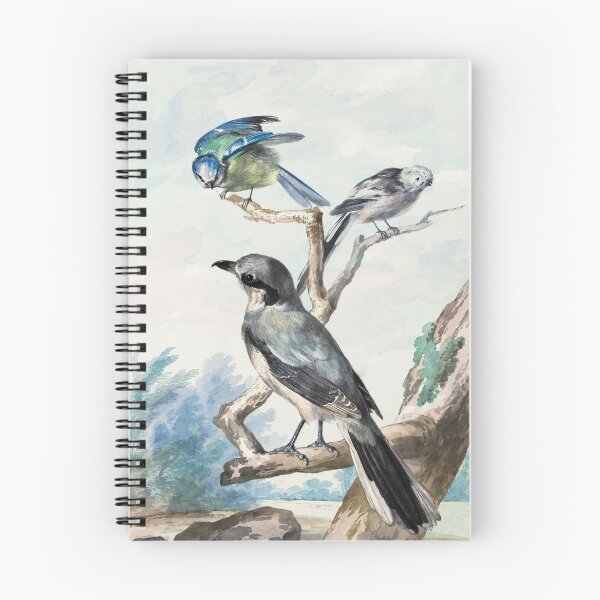 Item preview, Long-tailed Tit, Blue Tit and Great Gray Shrike or Great Shrike (1756) by Aert Schouman designed and sold by Oldetimemercan.