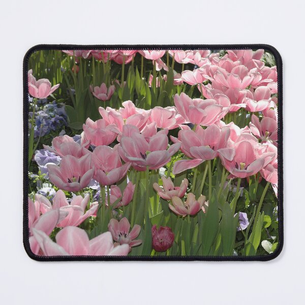 Item preview, Pink Didier's Tulip (Tulipa Gesneriana) Botanical Flower Garden designed and sold by VistaViews.