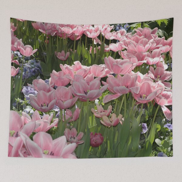 Item preview, Pink Didier's Tulip (Tulipa Gesneriana) Botanical Flower Garden designed and sold by VistaViews.