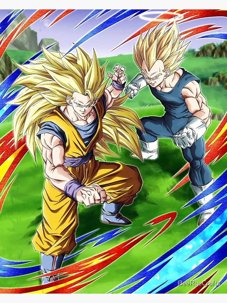 Super Saiyan 3 Goku + Super Saiyan 2 Vegeta. 