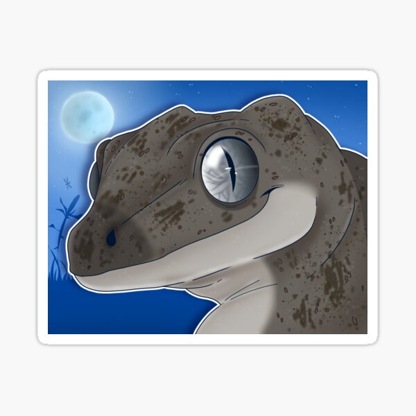 Gargoyle Gecko Sticker