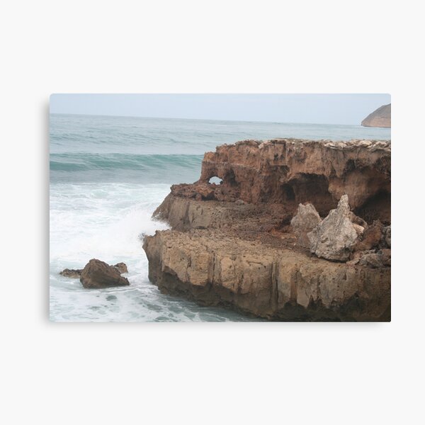 Monkey-face Canvas Print