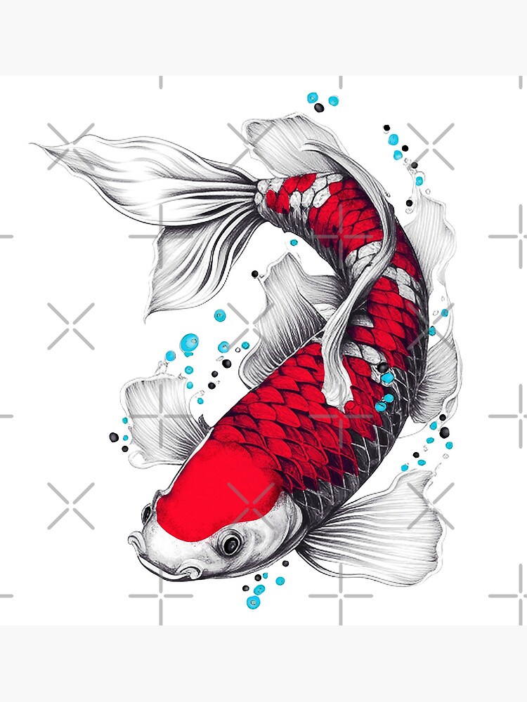 "Japanese koi fish, Koi Art, Tattoo Fish, Koi butterfly, Drawing