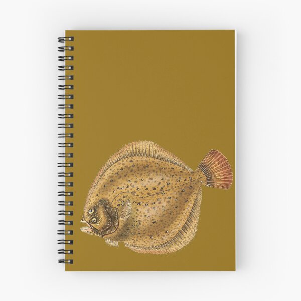 Item preview, Turbot, flatfish  (Scophthalmus maximus) designed and sold by Luggnagg.