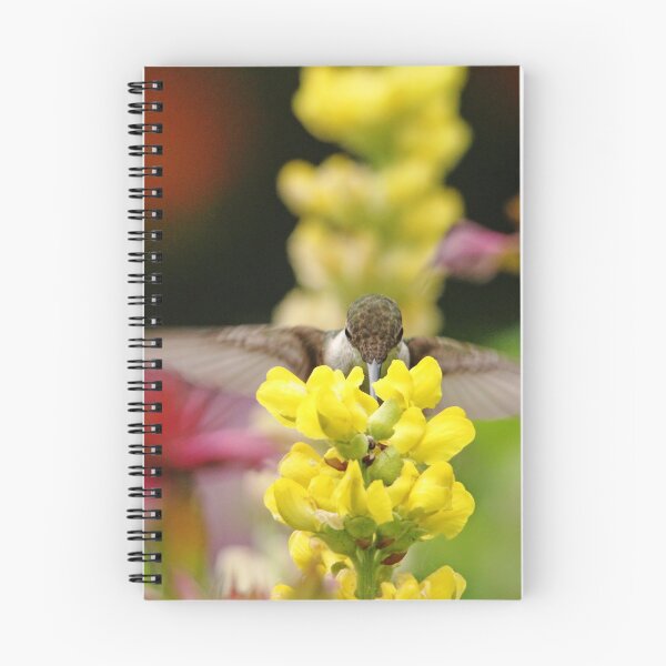Item preview, Ruby Throated Hummingbird And Lupine designed and sold by Debbie Oppermann.
