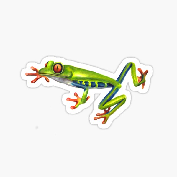 Watercolor Red-Eyed Frog Sticker