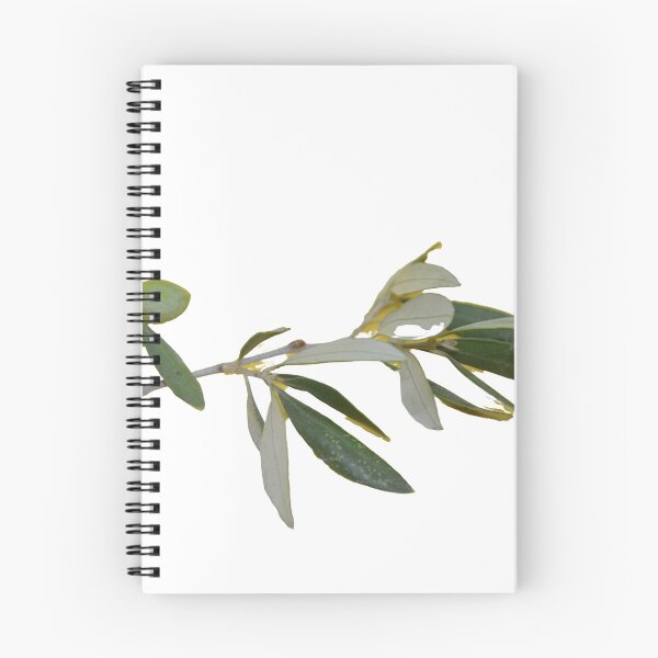 Item preview, Rama de olivo con frutos sobre fondo amarillo designed and sold by architecturephd.
