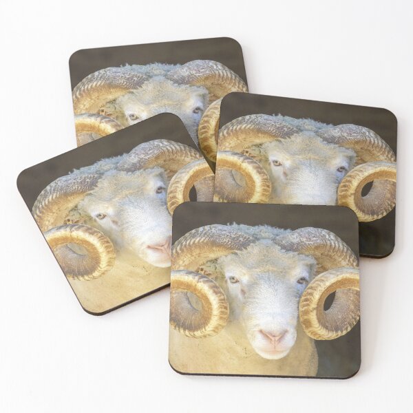 Item preview, Adult Sheep Ram Headshot. Animal Pen in North America. designed and sold by yhelfman.