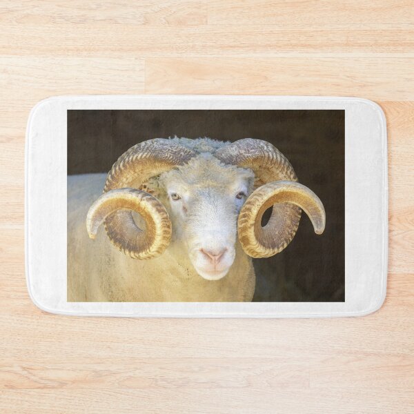 Item preview, Adult Sheep Ram Headshot. Animal Pen in North America. designed and sold by yhelfman.