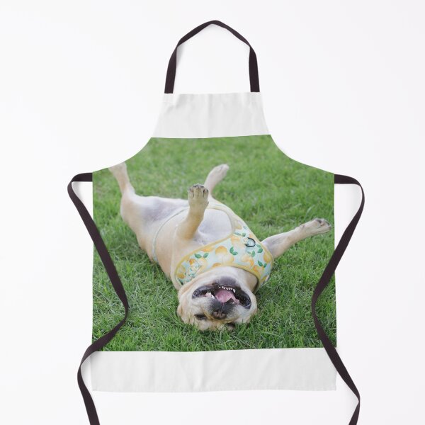 Item preview, 6-Year-Old French Bulldog Male Rolling Over and Goofing Off designed and sold by yhelfman.
