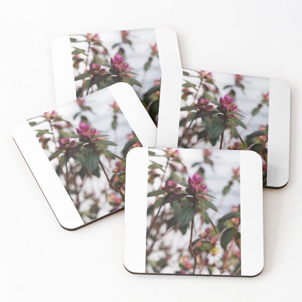 Item preview, Pink Flower Photograph  designed and sold by Ruth Curry.