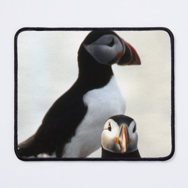 Item preview,  Extinct animal,Great Auk print,Great Auk,extinct, animal, animals, Great Auk wall art,Great Auk artwork, wild,Great Auk art designed and sold by eyesight4vision.