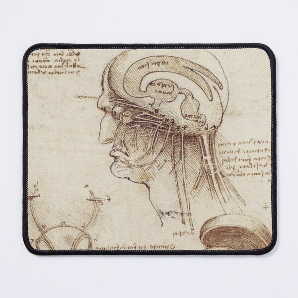 Item preview, Brain Physiology, gravure designed and sold by Lacasadellora.