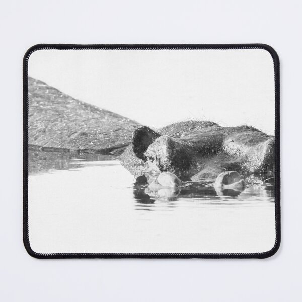 Item preview, Hippo High Key Okavango Delta Botswana designed and sold by PhotoArt by Joan Carroll.