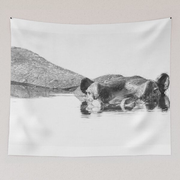 Item preview, Hippo High Key Okavango Delta Botswana designed and sold by PhotoArt by Joan Carroll.