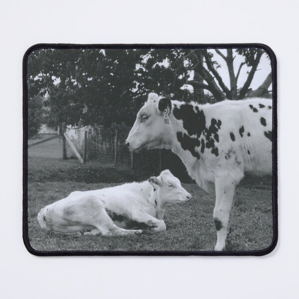 Item preview, Two Cows designed and sold by Ruth Curry.