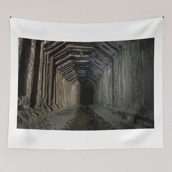 Item preview, Ruined Donner Pass Summit Train Tunnel  designed and sold by yhelfman.