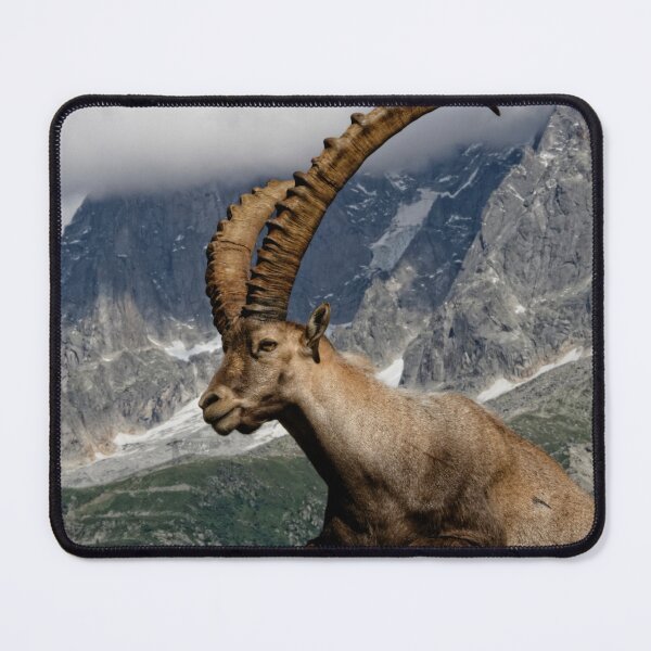 Item preview, Extinct animal,Pyrenean Ibex,extinct, animal, animals,Pyrenean Ibex wall art,Pyrenean Ibex artwork, wild,Pyrenean Ibex, art,painting designed and sold by eyesight4vision.