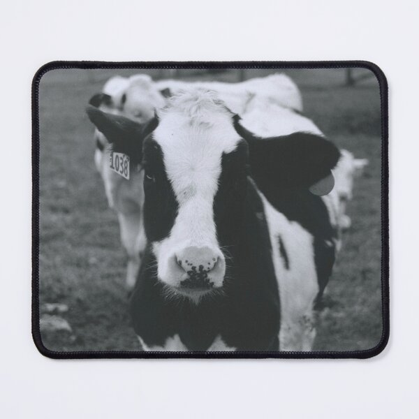 Item preview, Baby Calf designed and sold by Ruth Curry.