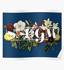 SSDGM Murderino Flower Illustration My Favorite Murder Poster