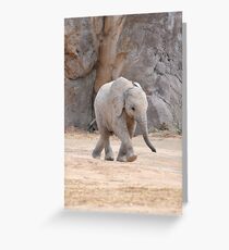 Baby Elephant Greeting Card