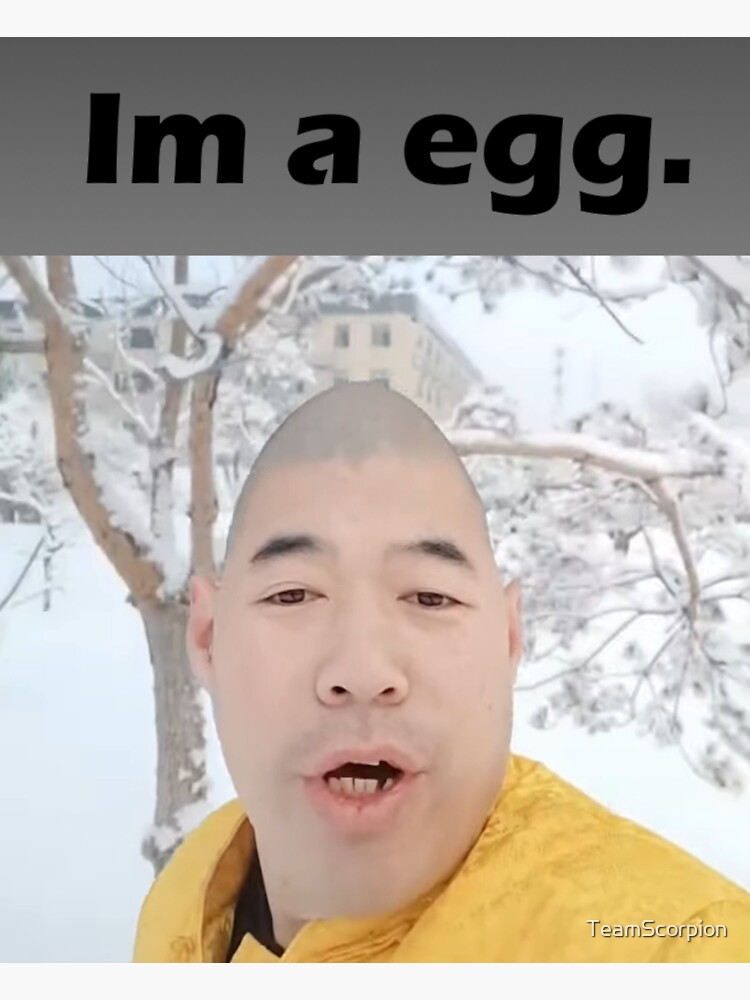 "Im a egg. (memes design)" Sticker for Sale by TeamScorpion Redbubble