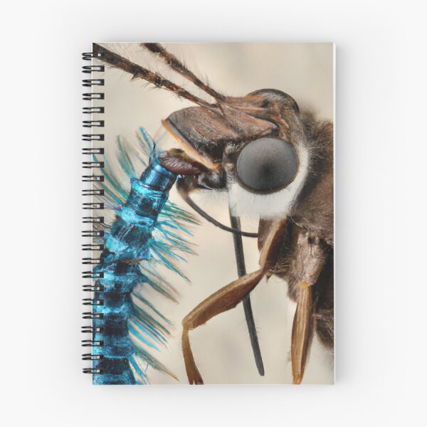 Item preview, Close-up of bug eating another bug designed and sold by HowardMilano.