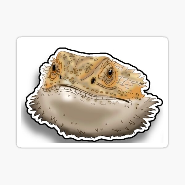Beardie Sticker
