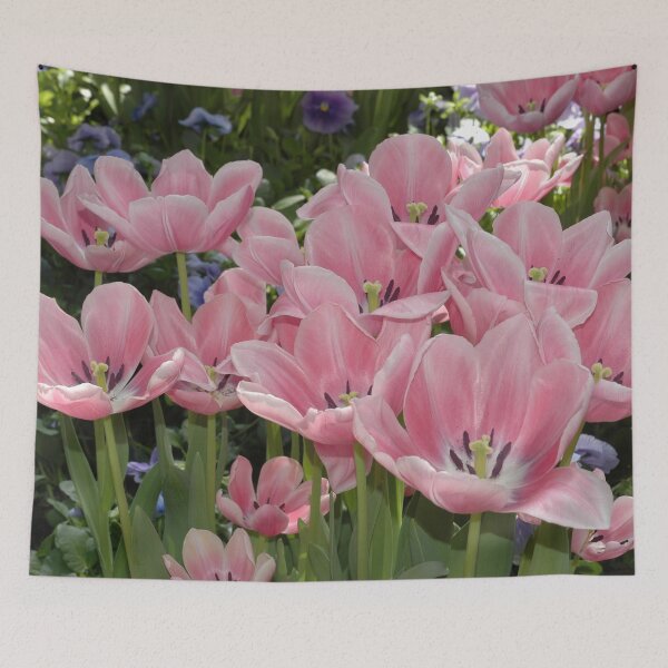 Item preview, Didiers Tulip (Tulipa Gesneriana) Pink Easter Botanical Flowers Garden designed and sold by VistaViews.