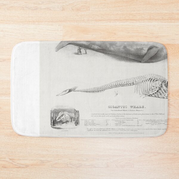 Item preview, The Greenland Whale, Blue Whale by George Johann Scharf designed and sold by Oldetimemercan.
