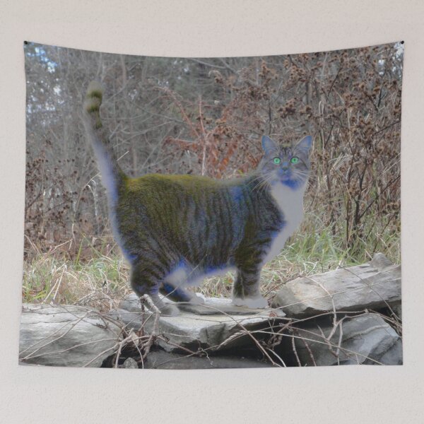 Item preview, Cat of a different color designed and sold by AuntyReni.