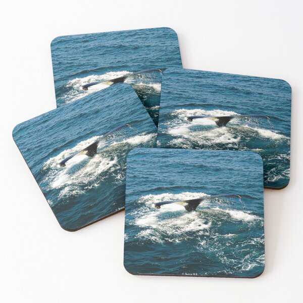 Item preview, whale tail designed and sold by KoyaHL.