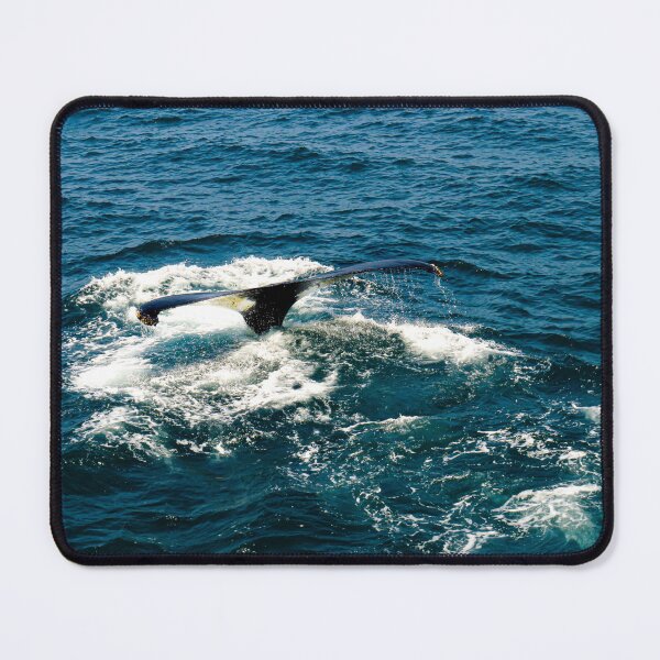 Item preview, whale tail designed and sold by KoyaHL.