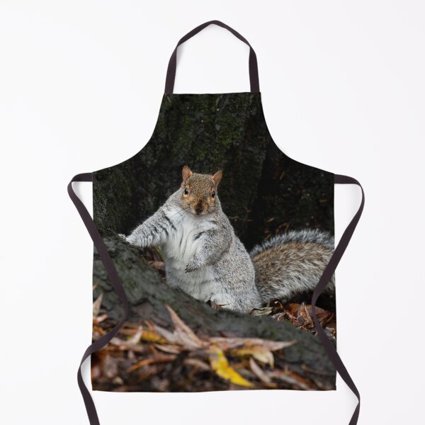 Item preview, Squirrel designed and sold by craigewmcg123.