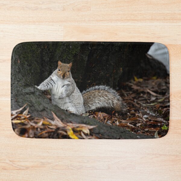 Item preview, Squirrel designed and sold by craigewmcg123.