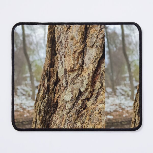 Item preview, Tree Trunk Facing Towards The Water designed and sold by Shonti.