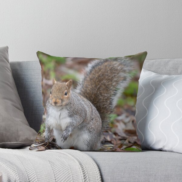 Item preview, Squirrel designed and sold by craigewmcg123.