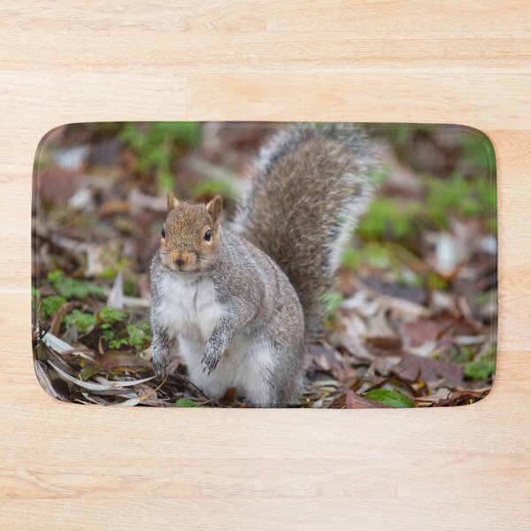 Item preview, Squirrel designed and sold by craigewmcg123.