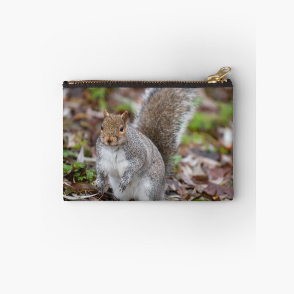 Item preview, Squirrel designed and sold by craigewmcg123.