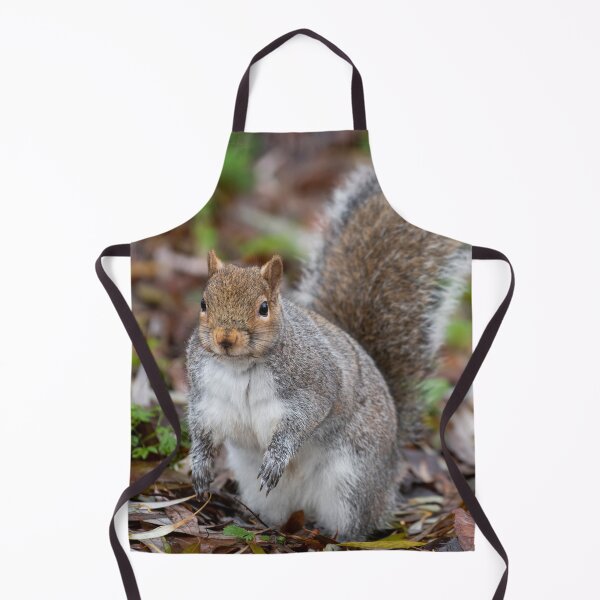 Item preview, Squirrel designed and sold by craigewmcg123.