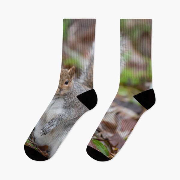 Item preview, Squirrel designed and sold by craigewmcg123.