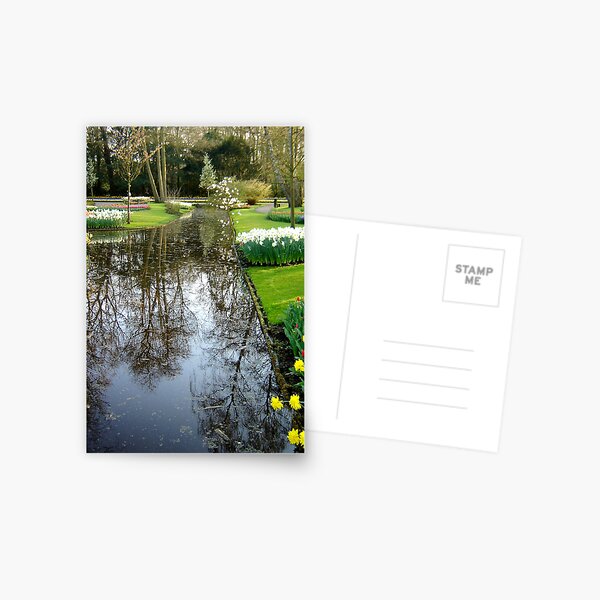 Keukenhof Serie - Reflecting on the reflections Postcard
