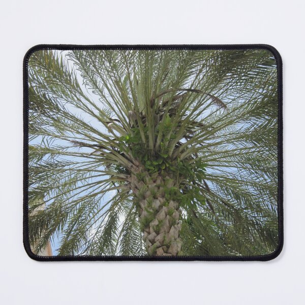 Item preview, Looking Up designed and sold by rosiebrown.