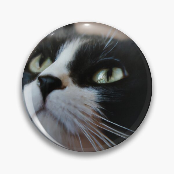 Item preview,  Cat meditates designed and sold by Yaghmoure.