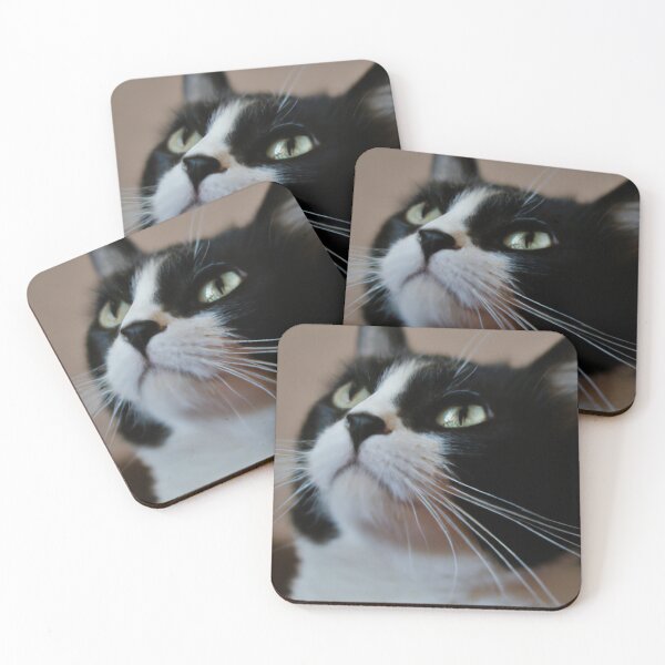 Item preview,  Cat meditates designed and sold by Yaghmoure.
