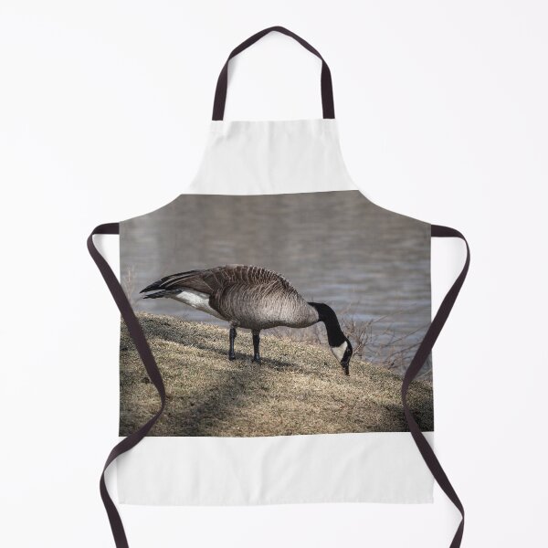 Item preview, Brunching by the lake designed and sold by Joel Bader.