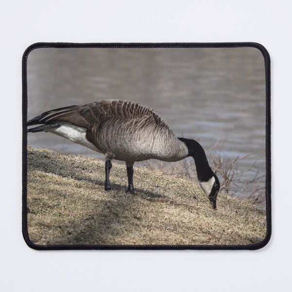 Item preview, Brunching by the lake designed and sold by Joel Bader.