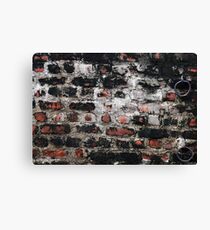 Just another brick in the wall Canvas Print