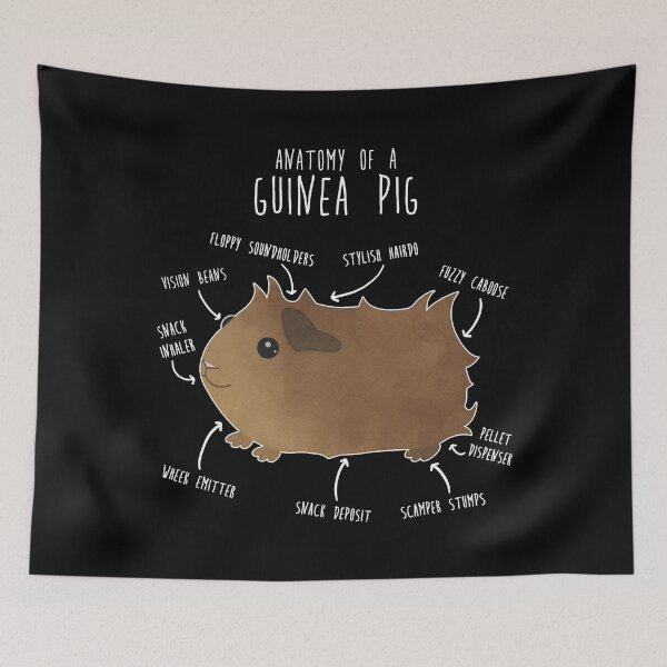 Item preview, Abyssinian Guinea Pig Anatomy designed and sold by Clara Hollins.