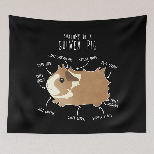 Item preview, Abyssinian Guinea Pig Anatomy designed and sold by Clara Hollins.